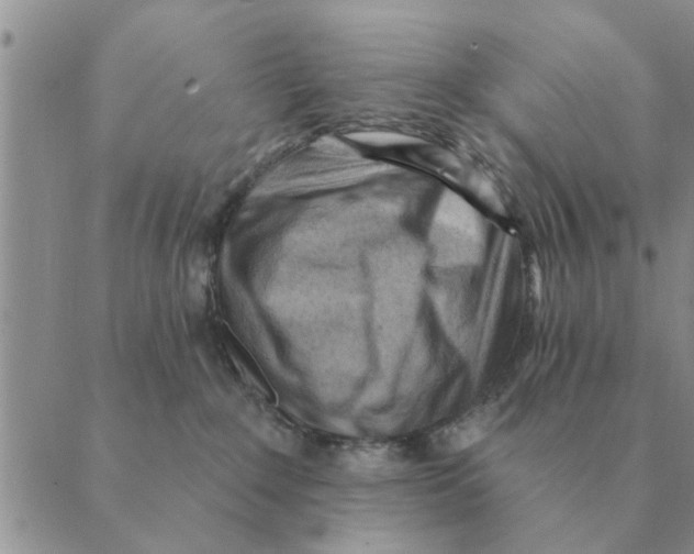 X0000088830235200707051430