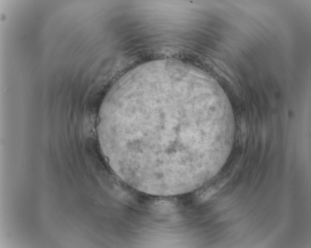 X0000088830236200707051430