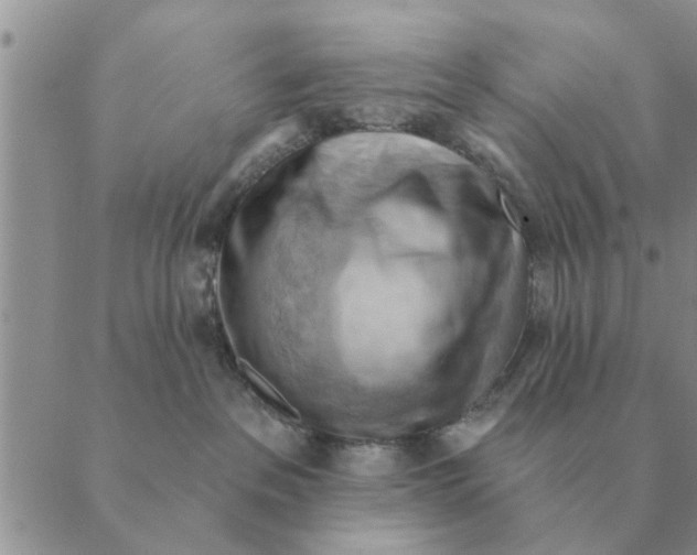 X0000088830237200707051430