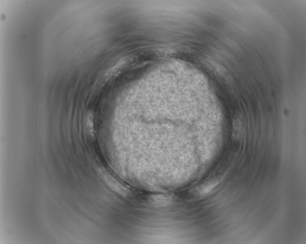 X0000088830238200707051430