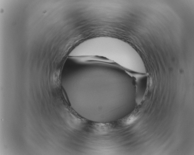 X0000088830239200707051430