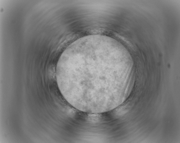 X0000088830240200707051430