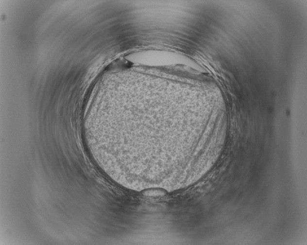 X0000088830241200707051429