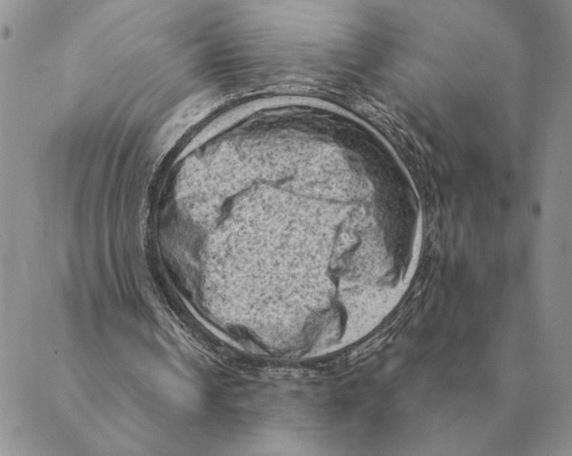 X0000088830242200707051429