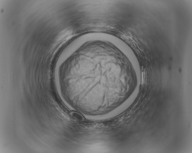 X0000088830243200707051429