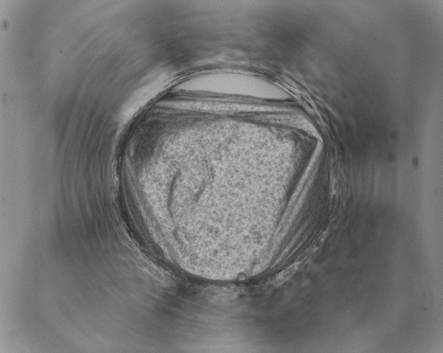 X0000088830245200707051429