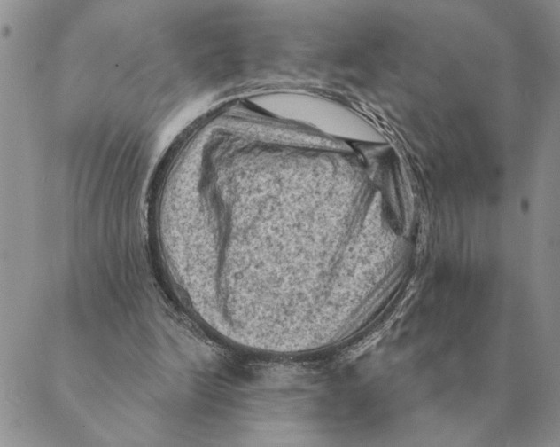 X0000088830246200707051429