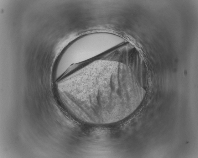 X0000088830248200707051429