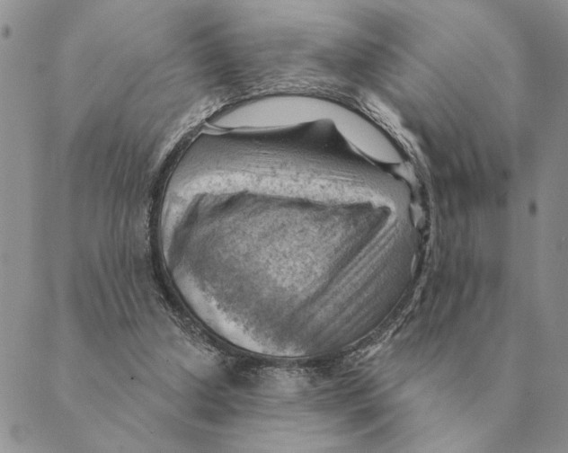 X0000088830250200707051429