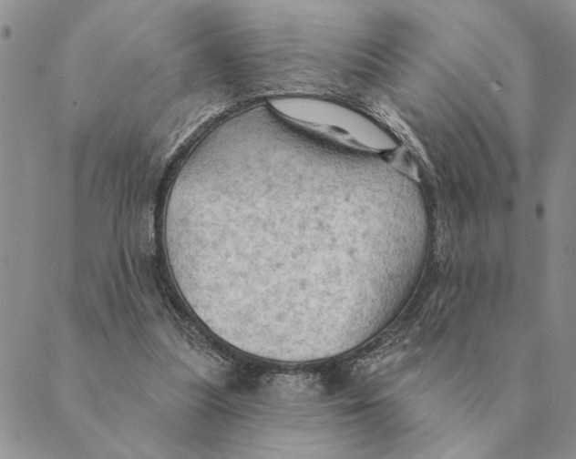 X0000088830251200707051429