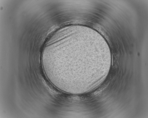 X0000088830253200707051429