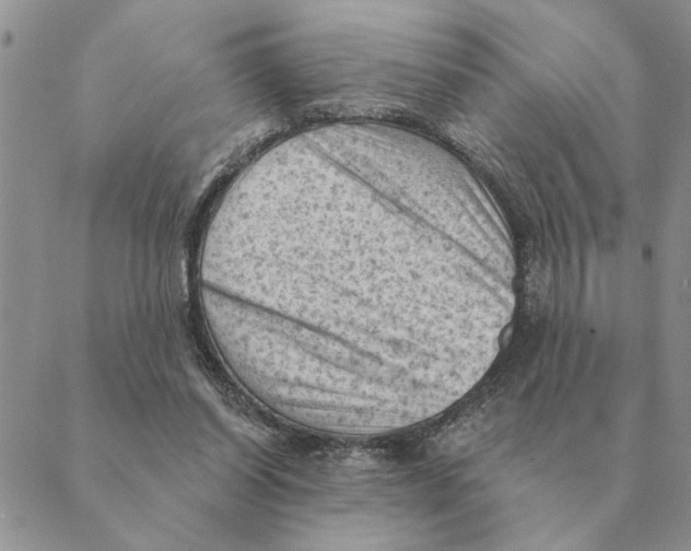 X0000088830254200707051429