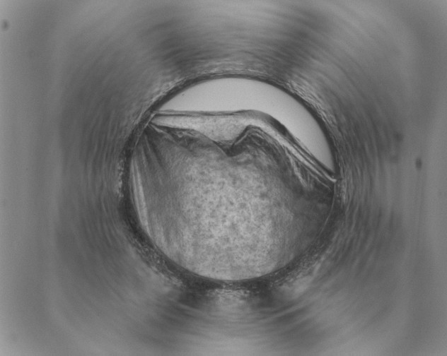 X0000088830255200707051429