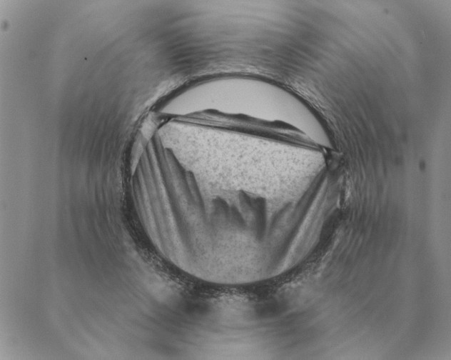 X0000088830256200707051429