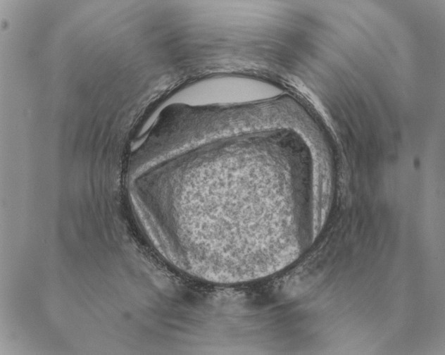 X0000088830257200707051429