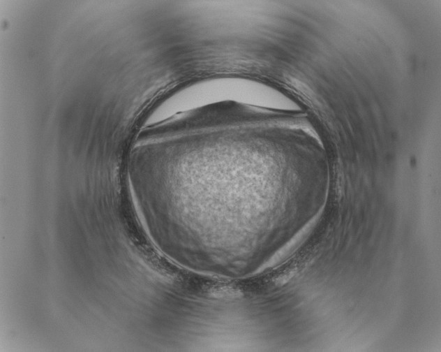 X0000088830258200707051429