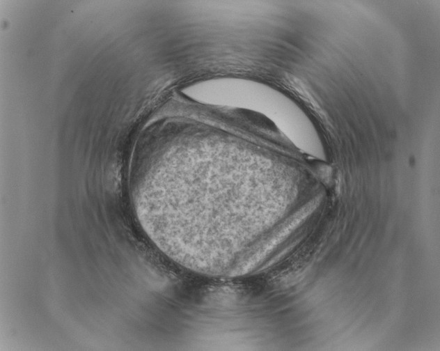 X0000088830259200707051429