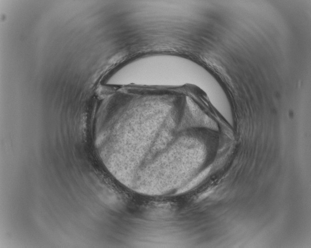 X0000088830260200707051429