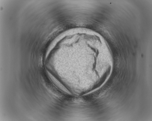 X0000088830262200707051429