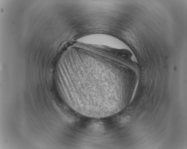 X0000088830263200707051429