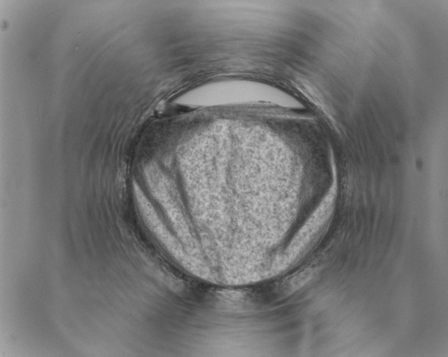 X0000088830265200707051429