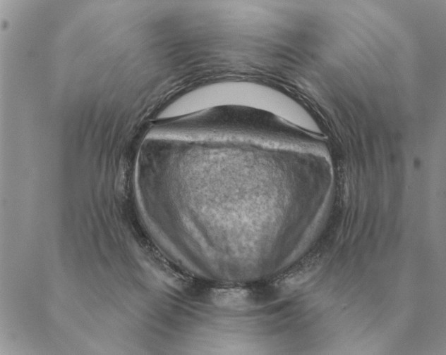 X0000088830266200707051429