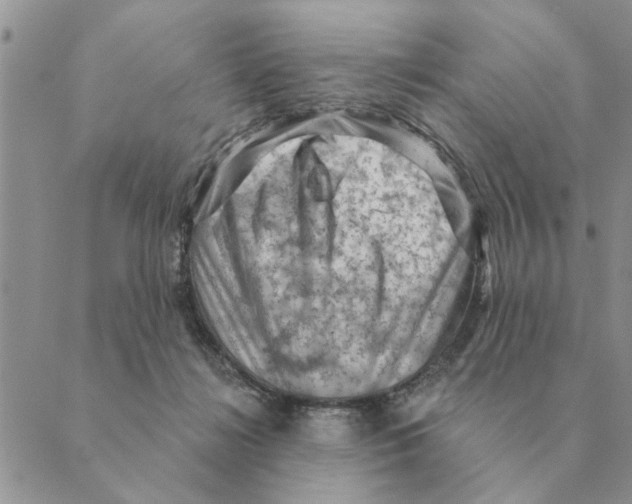 X0000088830268200707051429