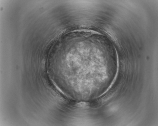 X0000088830269200707051429