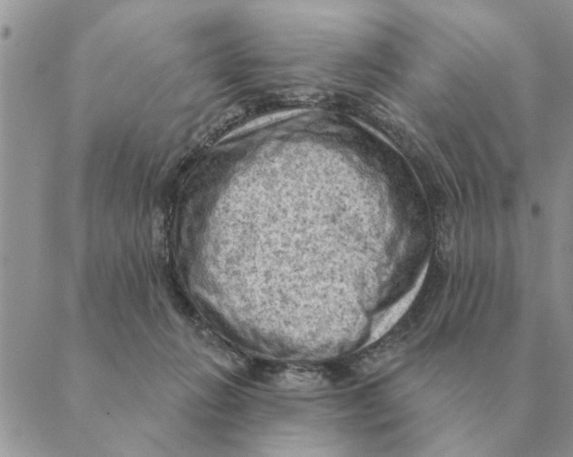 X0000088830270200707051429