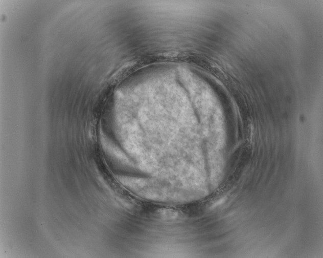 X0000088830272200707051429