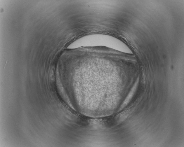 X0000088830273200707051429