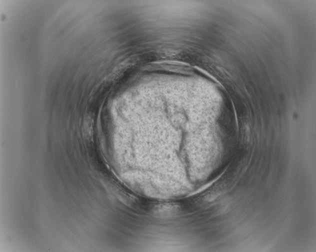 X0000088830274200707051429