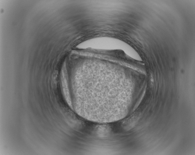 X0000088830275200707051429