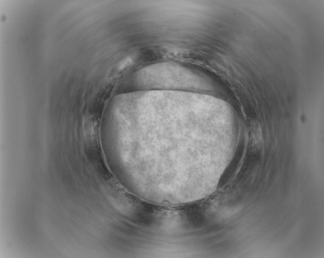 X0000088830276200707051429