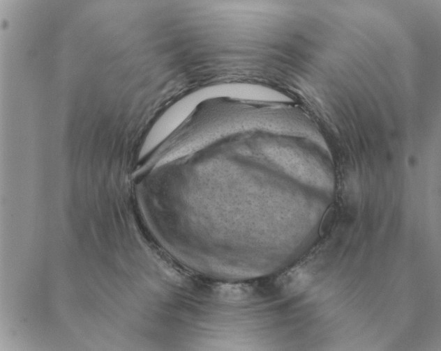 X0000088830277200707051429