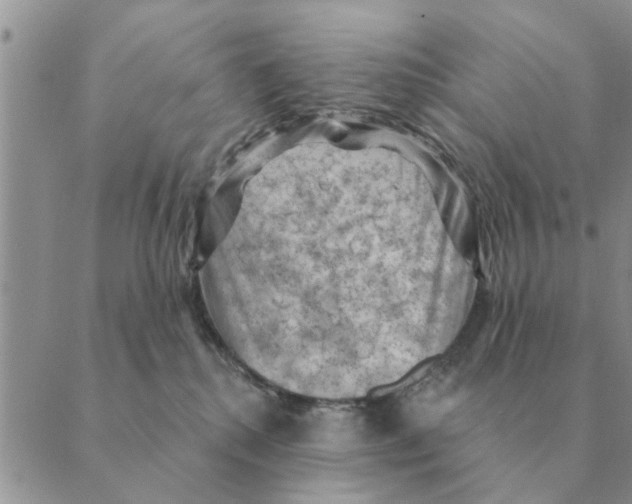 X0000088830280200707051430