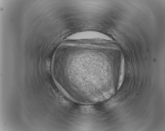 X0000088830281200707051430