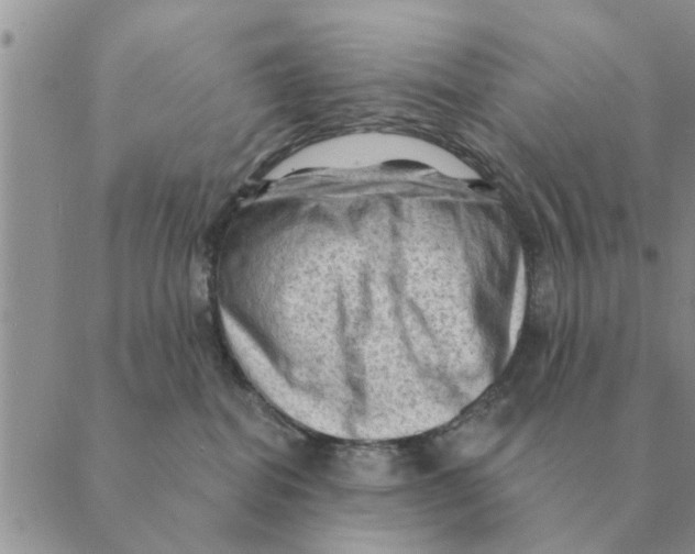 X0000088830282200707051430