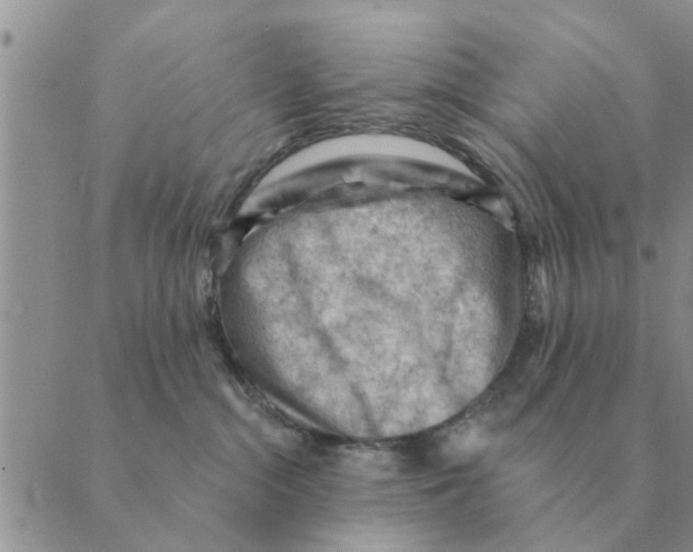 X0000088830284200707051430