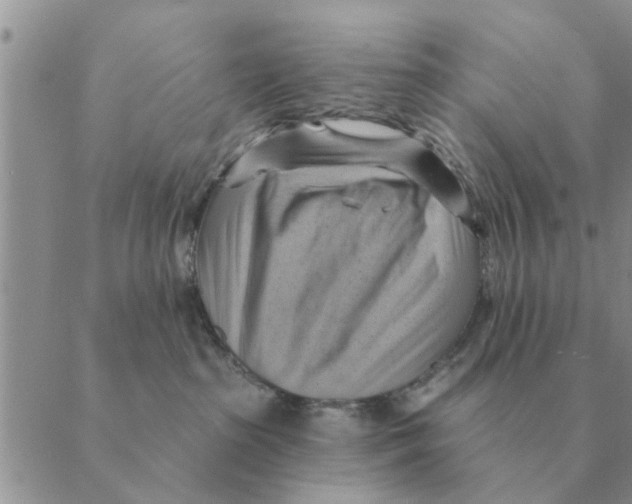 X0000088830285200707051430