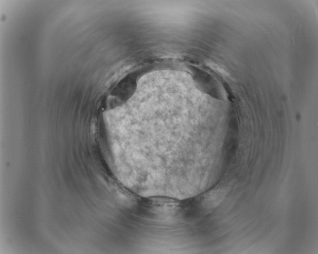 X0000088830288200707051430