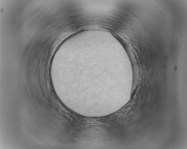 X0000088830289200707051429