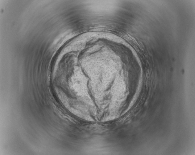 X0000088830290200707051429