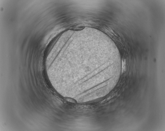 X0000088830291200707051429