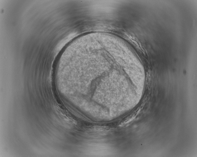 X0000088830292200707051429