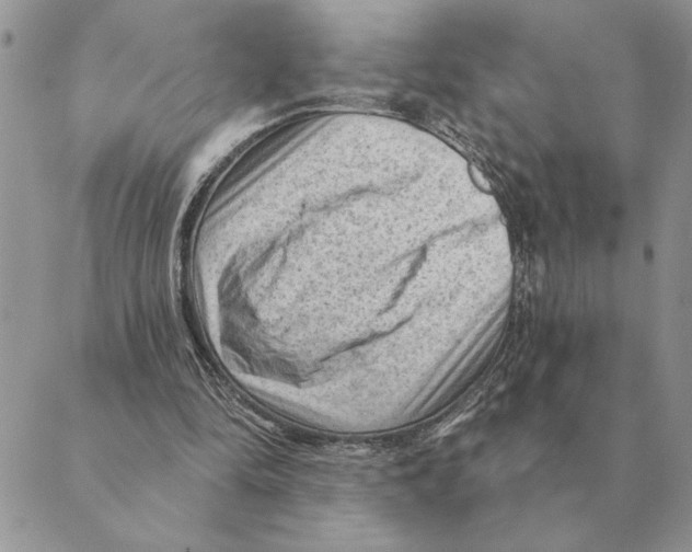 X0000088830294200707051429