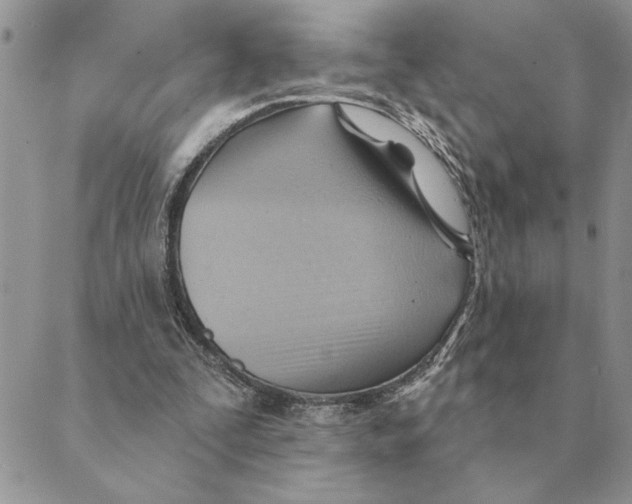 X0000088830295200707051429