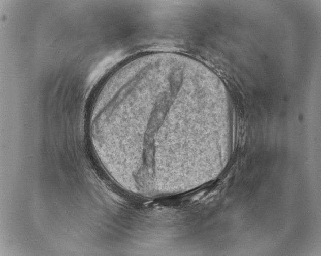 X0000088830296200707051429