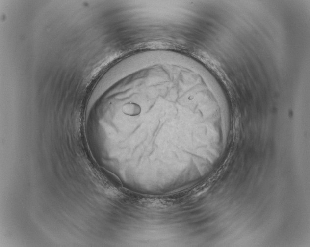 X0000088830297200707051429