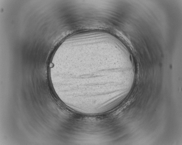 X0000088830298200707051429